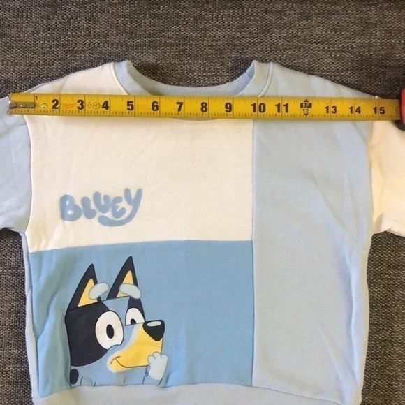 BLUEY Moose Toddler Boy Bluey Sweatshirt Pullover Sweatpants Set Blue Cream 3T - Picture 15 of 17